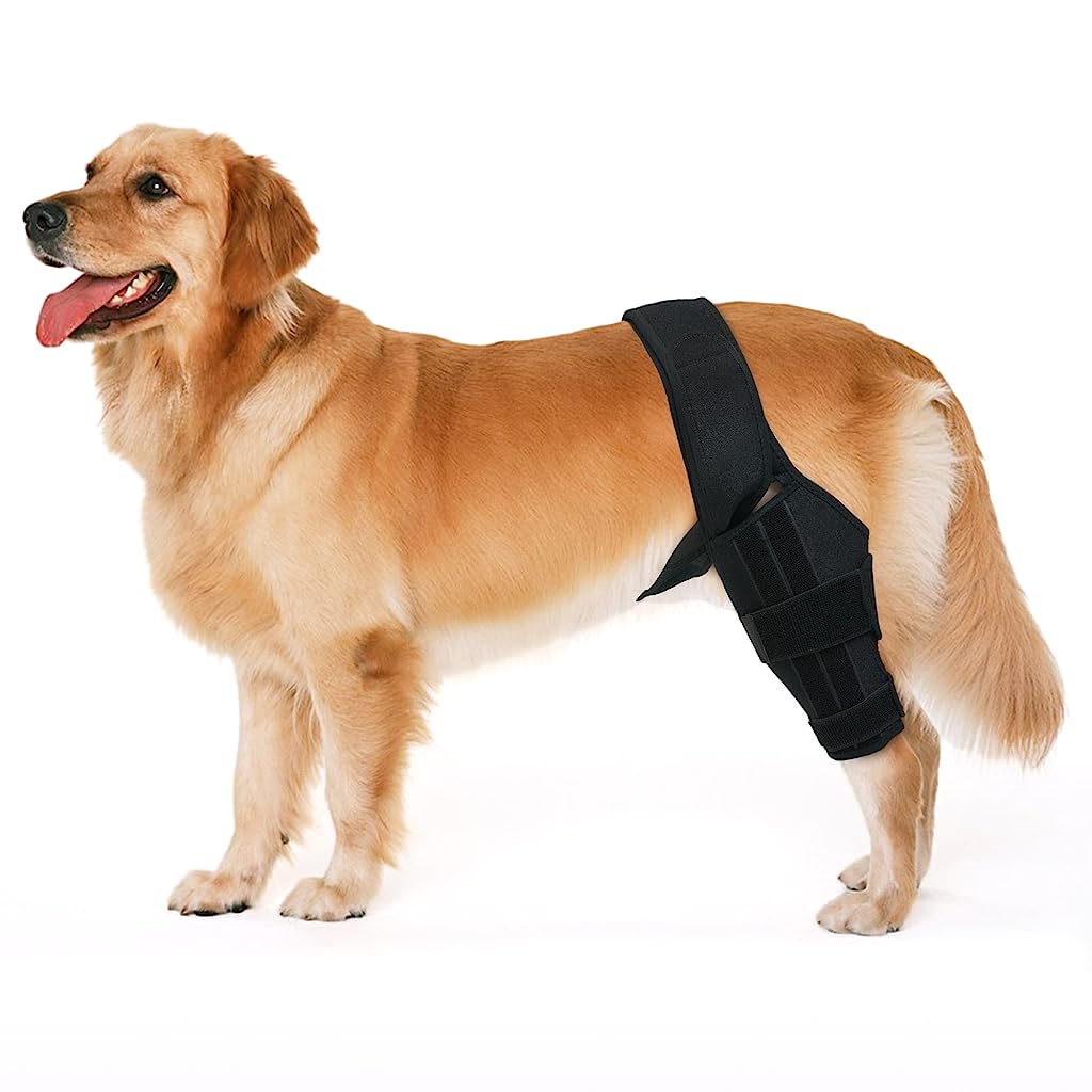 Qpets Dog Leg Brace, Leg Braces for Injured Dog Dog Leg Brace Support for Rehabilition, Adjustable Knee Support for Dog, Pet Knees Protector, Dog Hind Legs Brace for Large Dogs (Size: L) Qpets Dog Leg Brace, Leg Braces for Injured Dog Dog Leg Brace Support for Rehabilition, Adjustable Knee Support for Dog, Pet Knees Protector, Dog Hind Legs Brace for Large Dogs (Size: L)